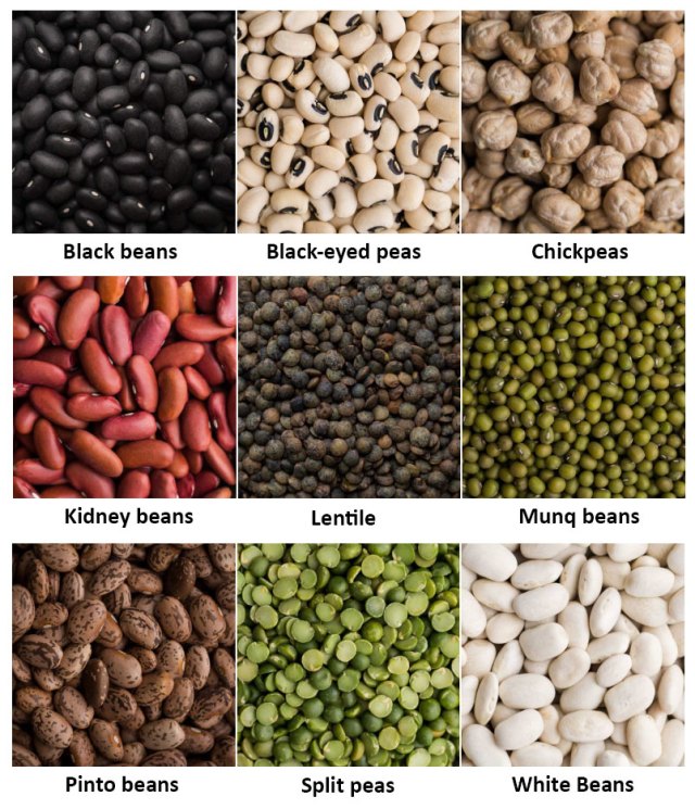 Beans and Legumes