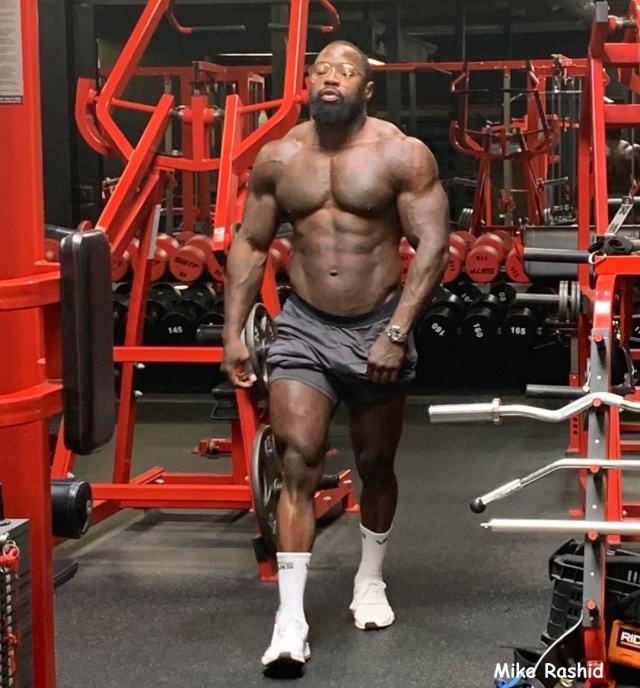 Mike Rashid