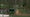 sylvia martin under falling trees in 2nd round of 2023 masters