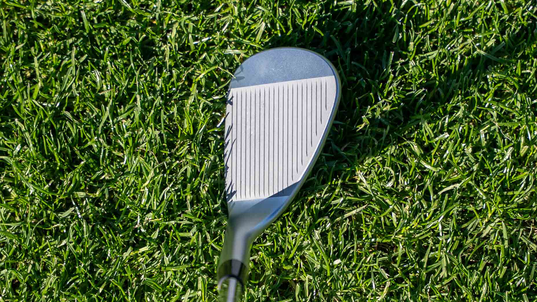 The new shape of the S259 Wedge.