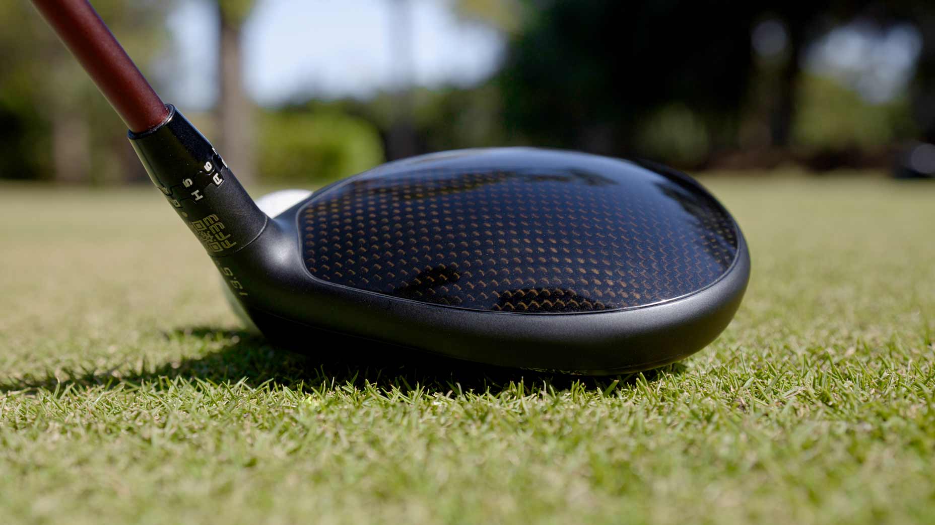 Cobra King Tec Mini.